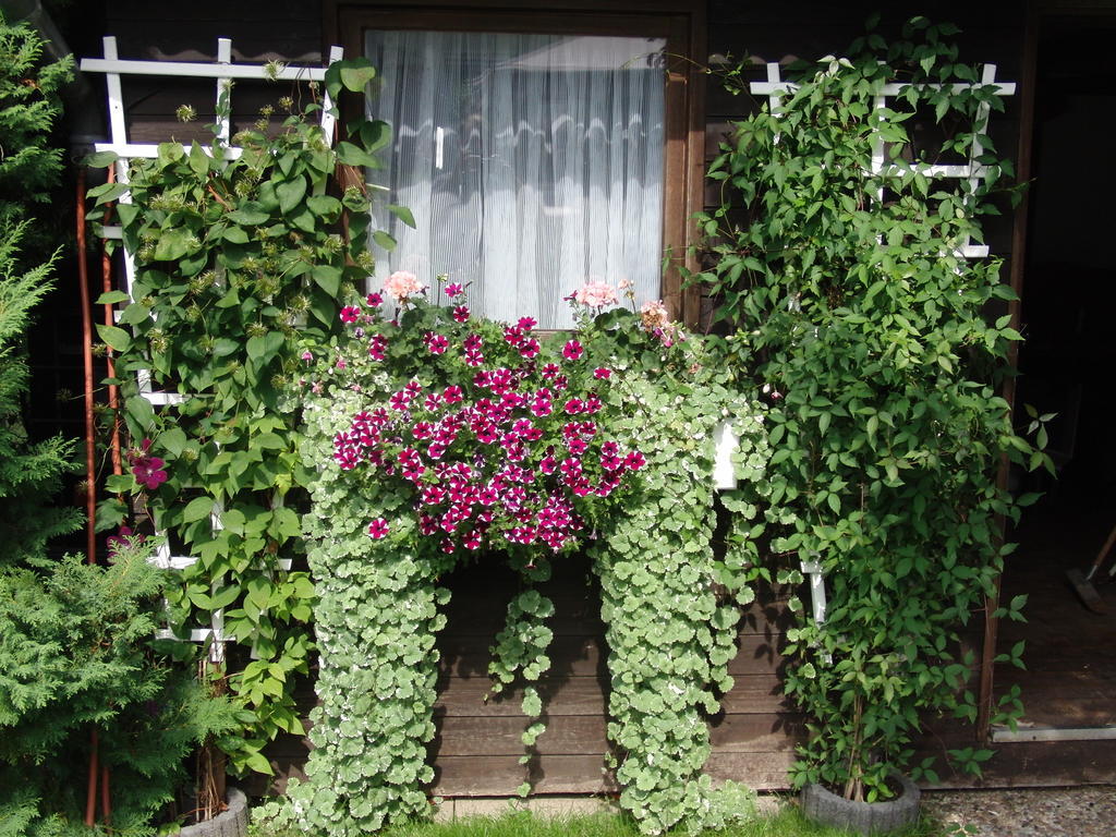 Gastehaus Spieker 3* Horn-Bad Meinberg